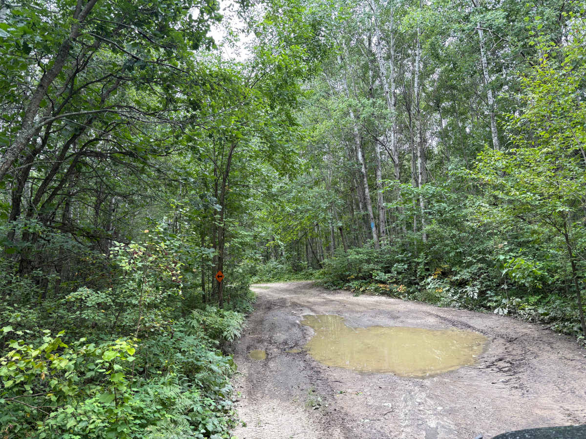 Camp 5 Trail photo 3