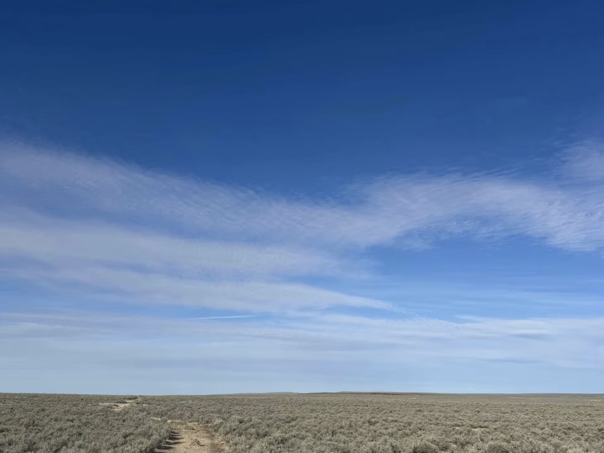 Nevada Crossing - BLM 5625 photo 5