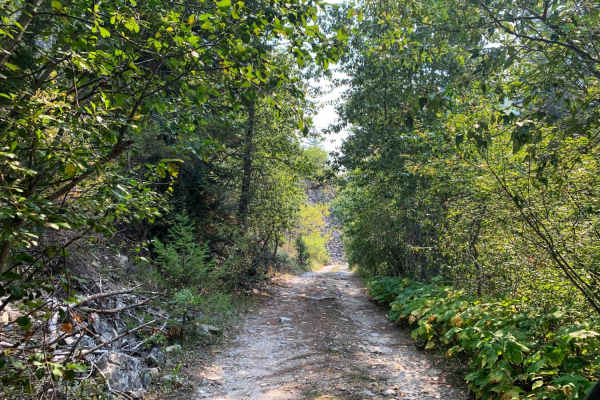 Gold Creek Trail