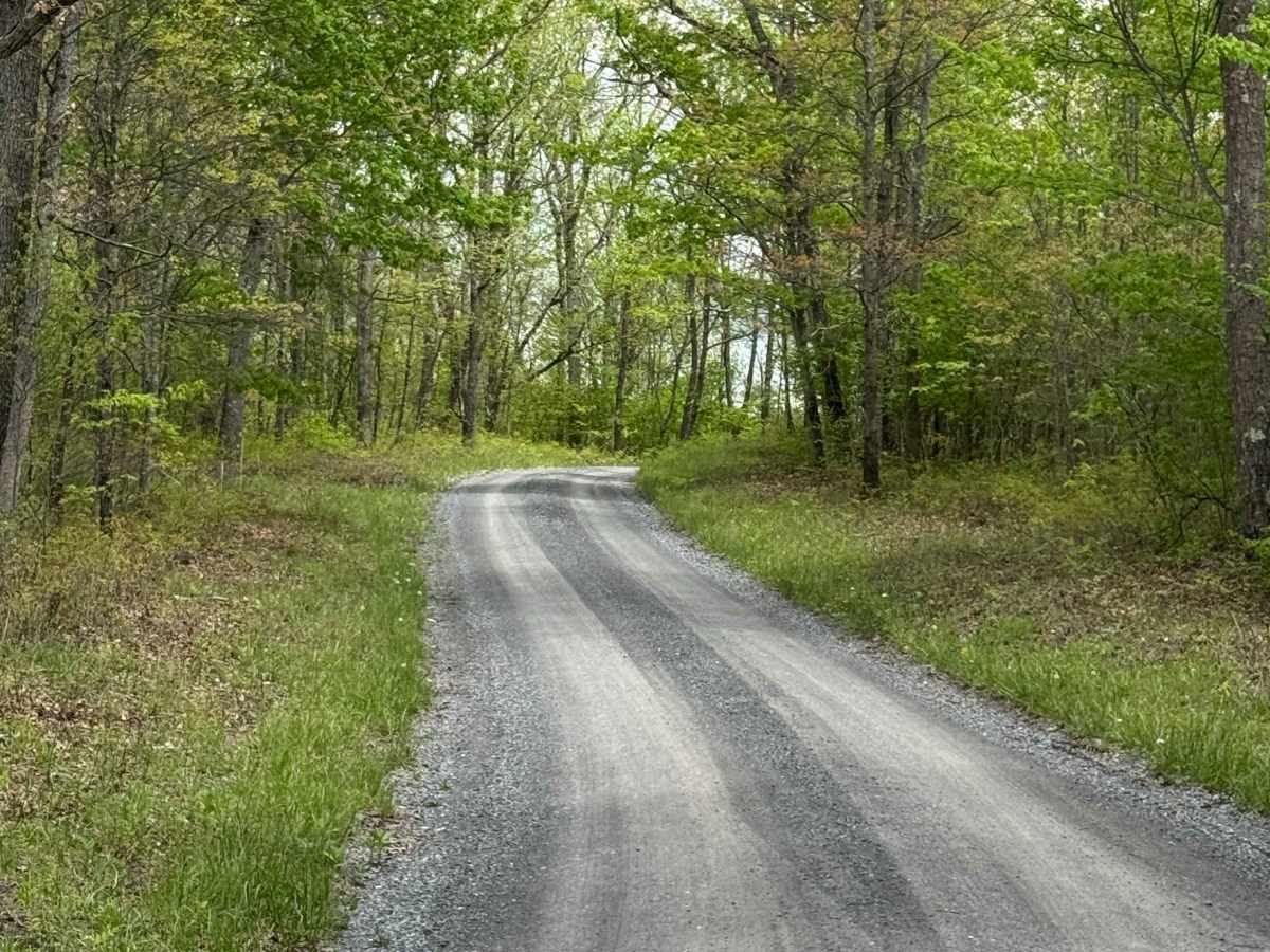 Boone Road photo 4