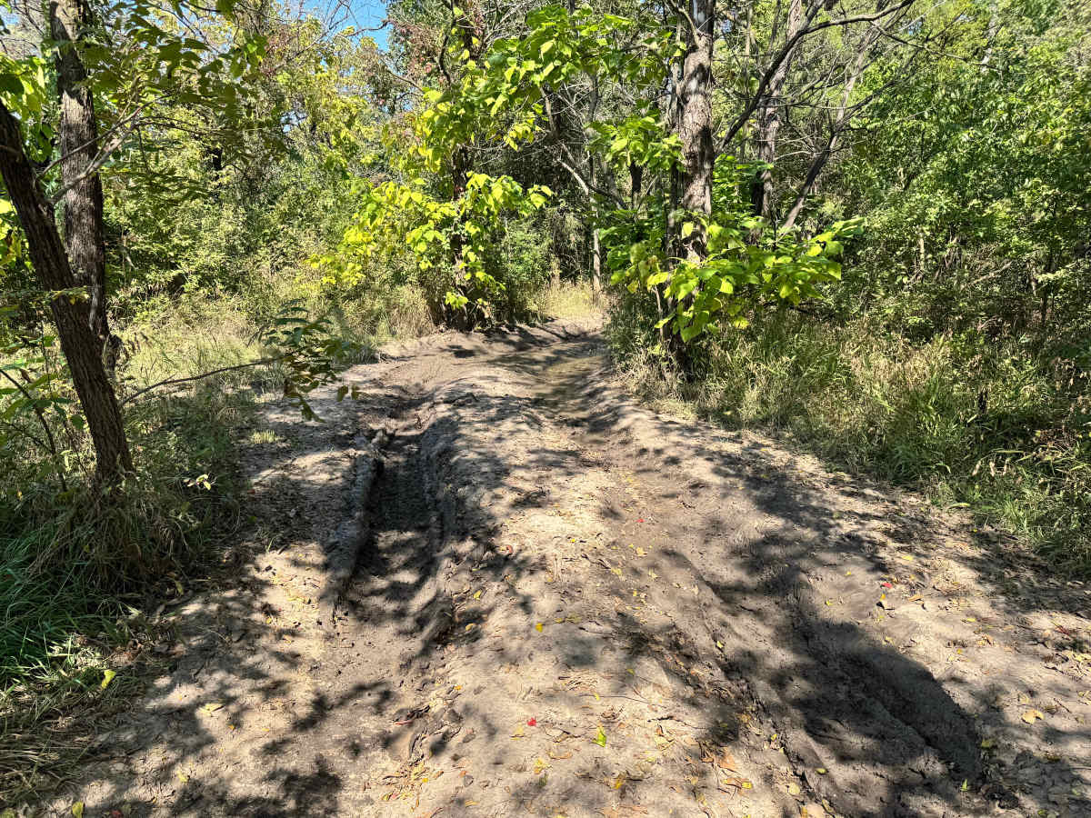 Ranger Danger photo 6