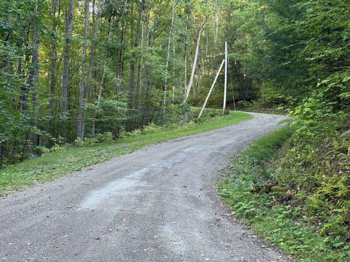 Old State Road - FS 157 photo 6