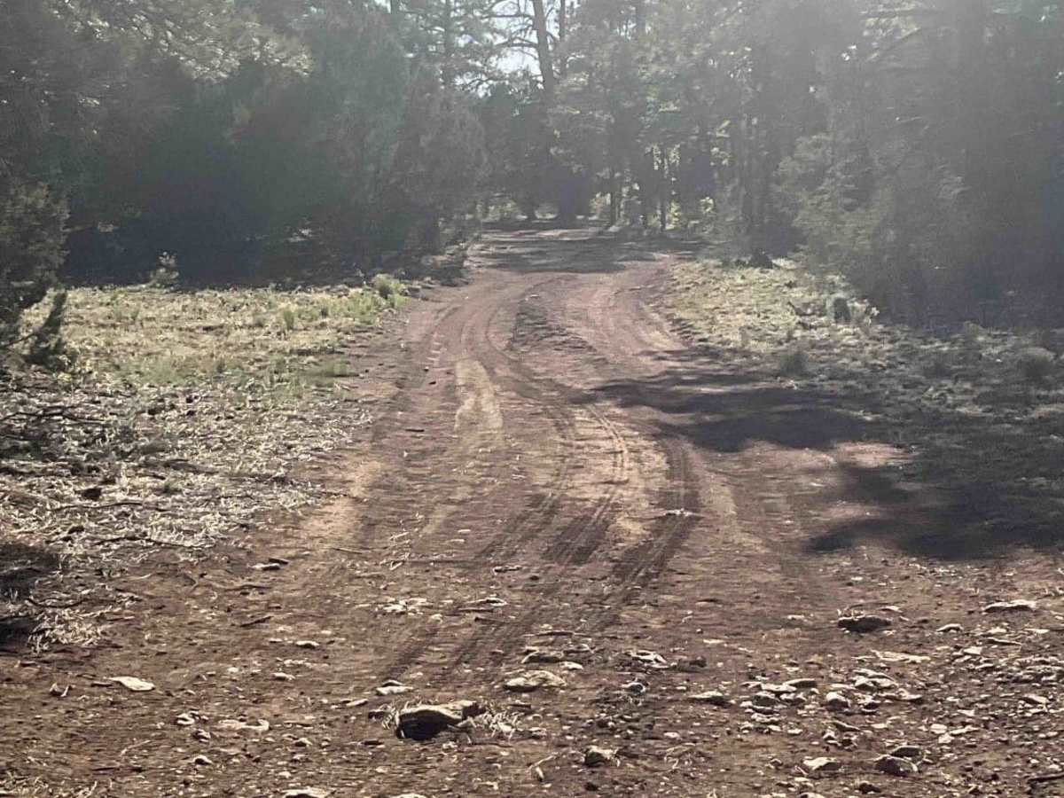 Marshall Lake Road photo 6