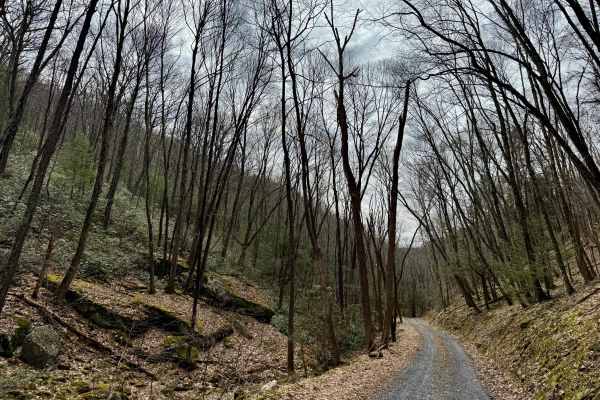 Mill Run Road