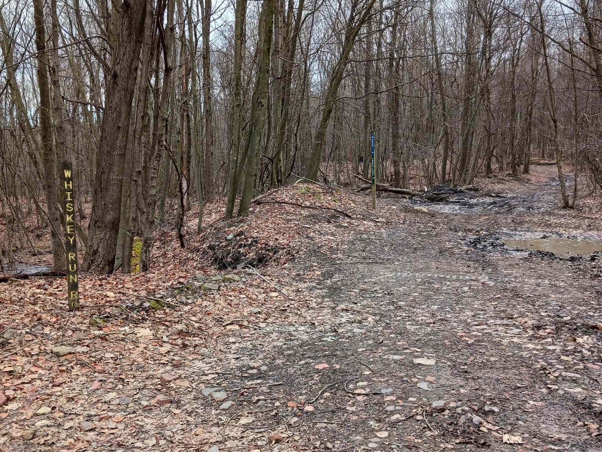 Trail 2F - Rock Run Recreation trail photo