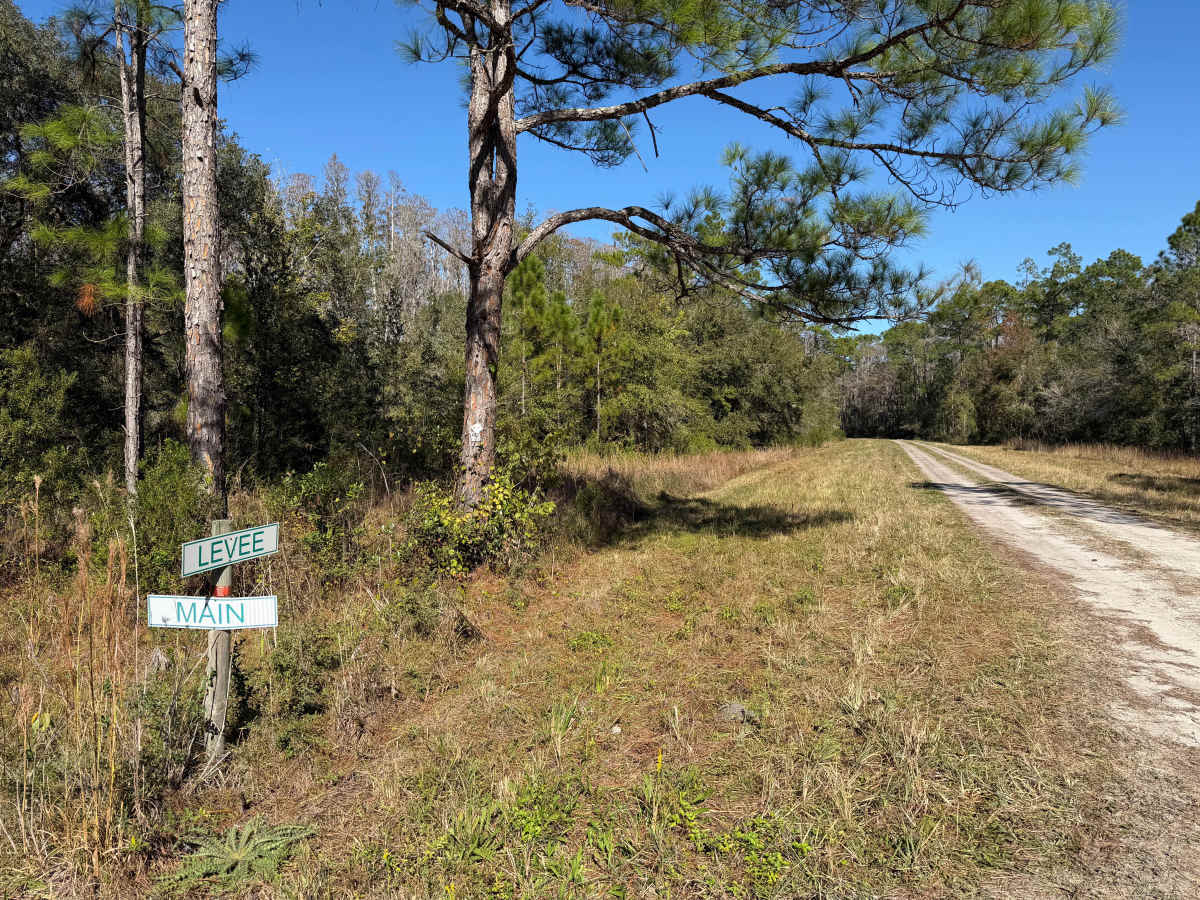 Levee Road trail photo