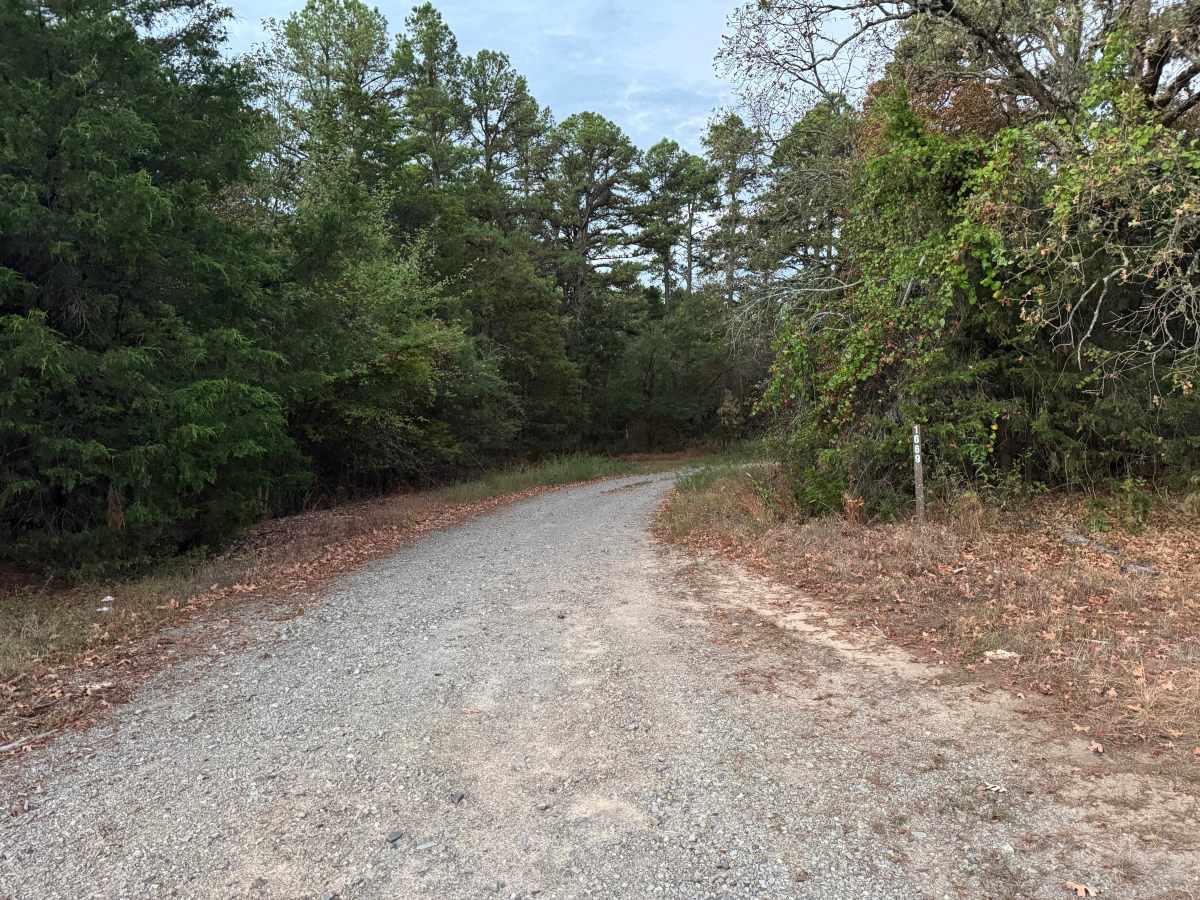 Hub Brown trail photo