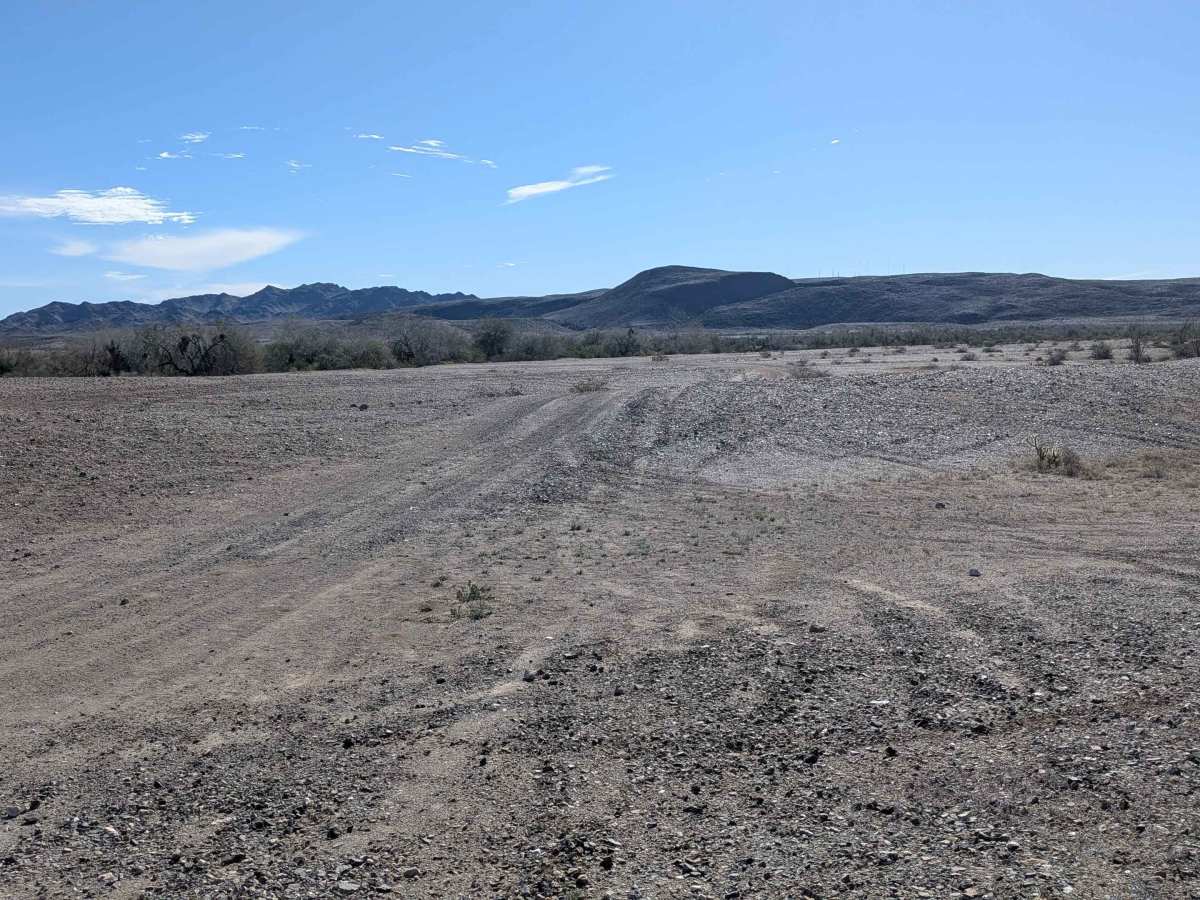BLM 636 Cut Off photo 5