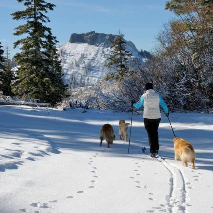 Near Palisade Trail