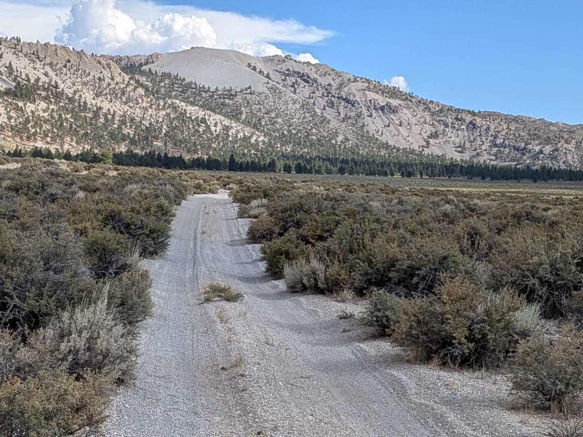 Crater Mountain Flats - FS 1S03 photo 4