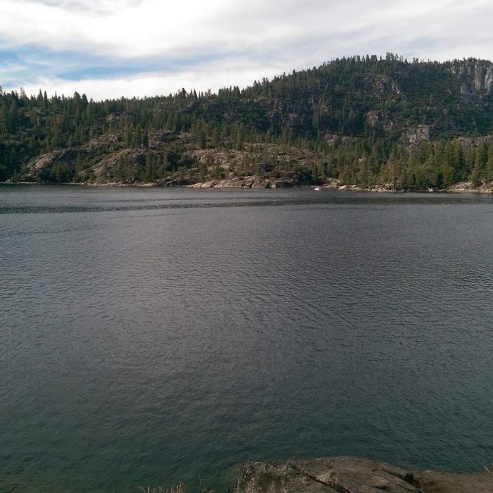 Near Pinecrest Lake National Recreation Trail