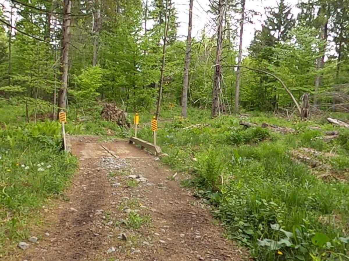 Lewis County Area A - Green Trail photo 4