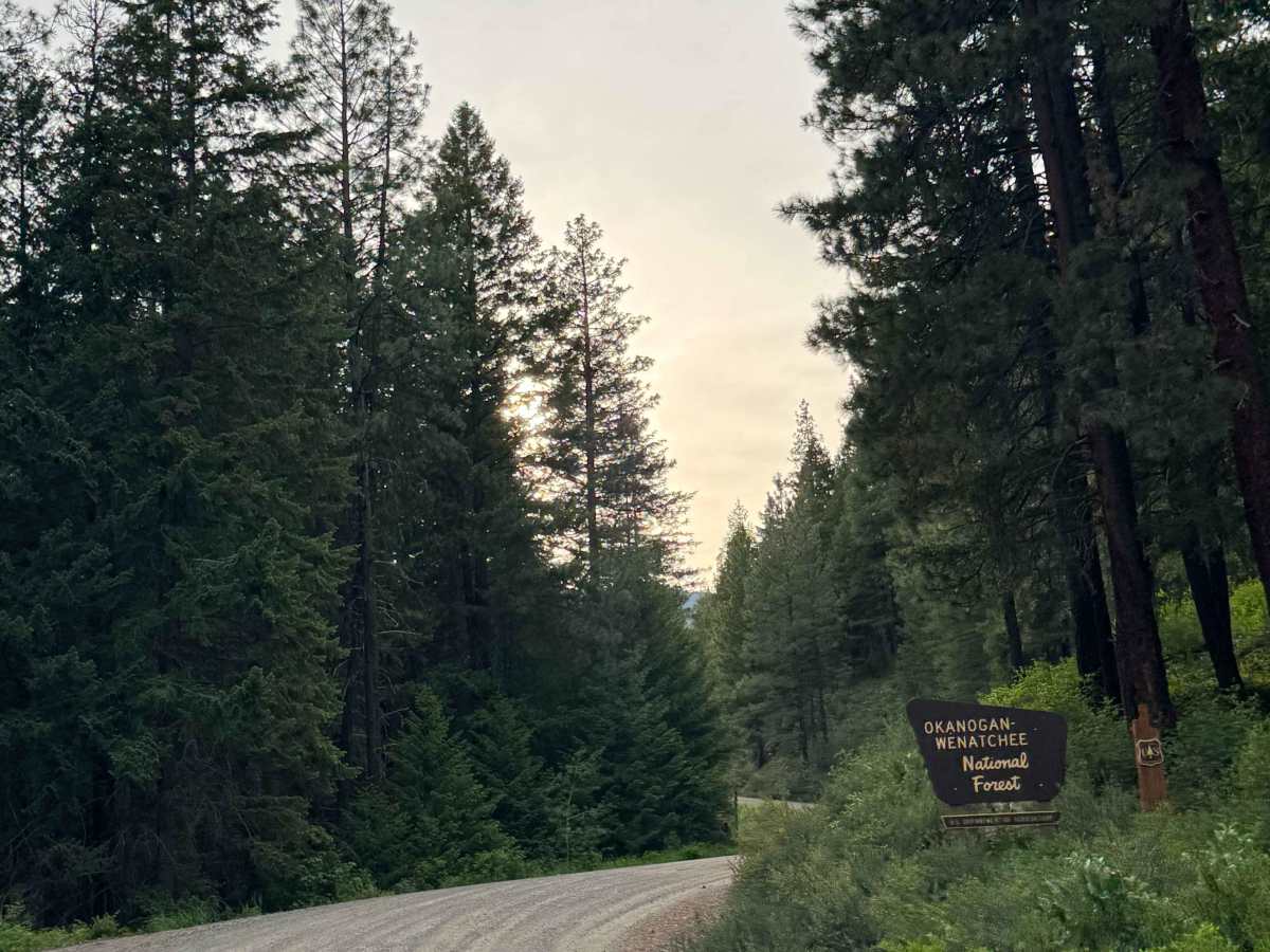 Cub Creek Road photo 3