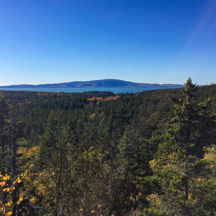 Near Anvil Trail