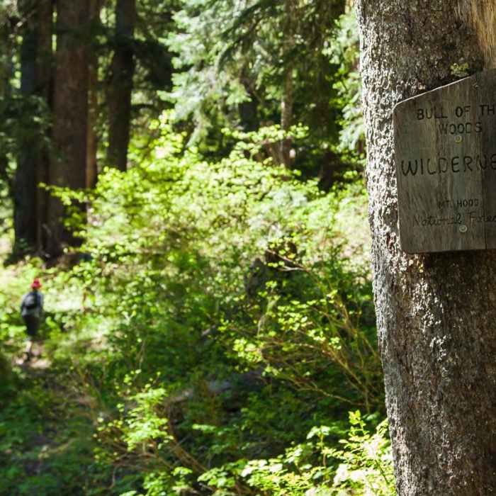 Near Whetstone Mountain Hike
