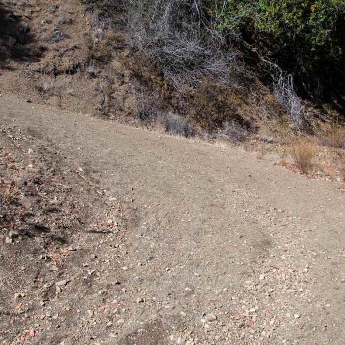 Near Knobcone Point + Black Rock Falls Hike via Contour Trail