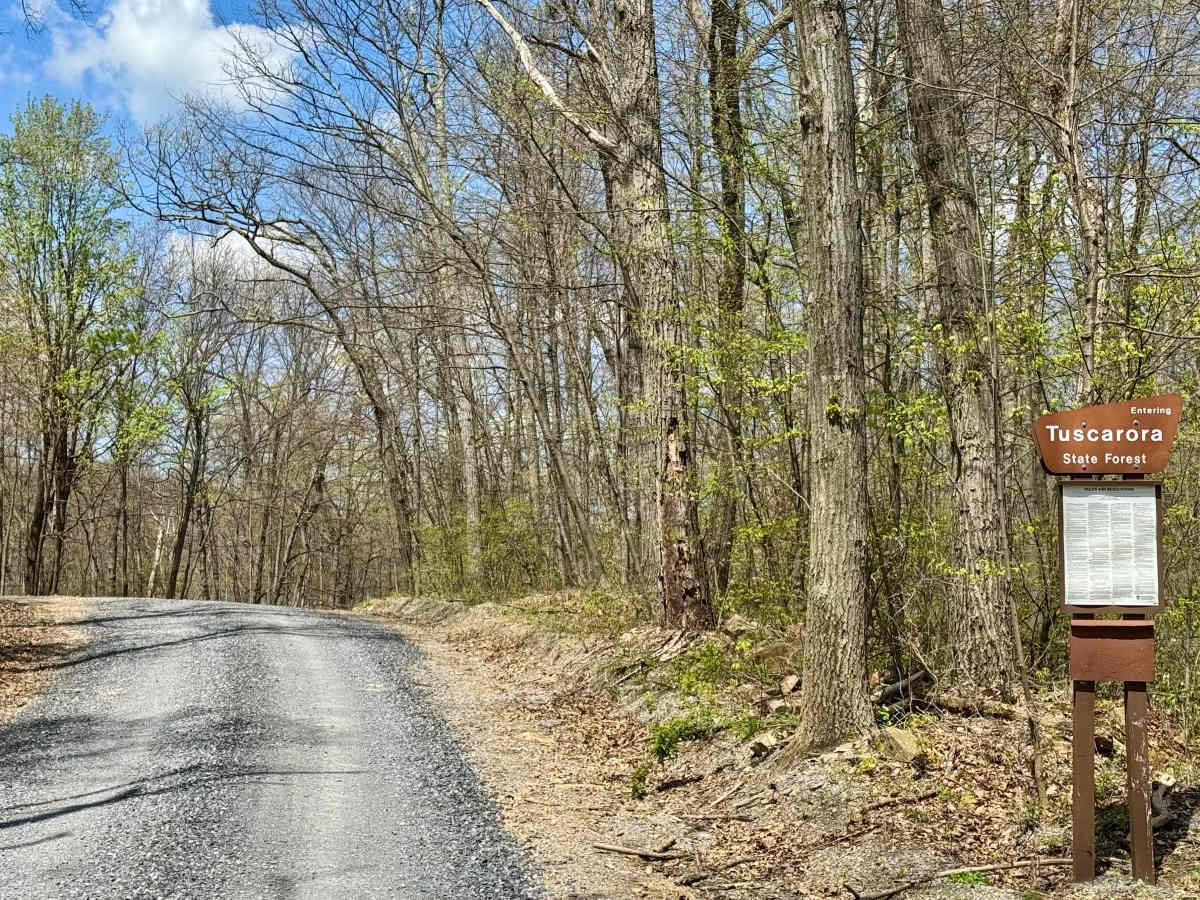 Wynn Gap Rd photo 3