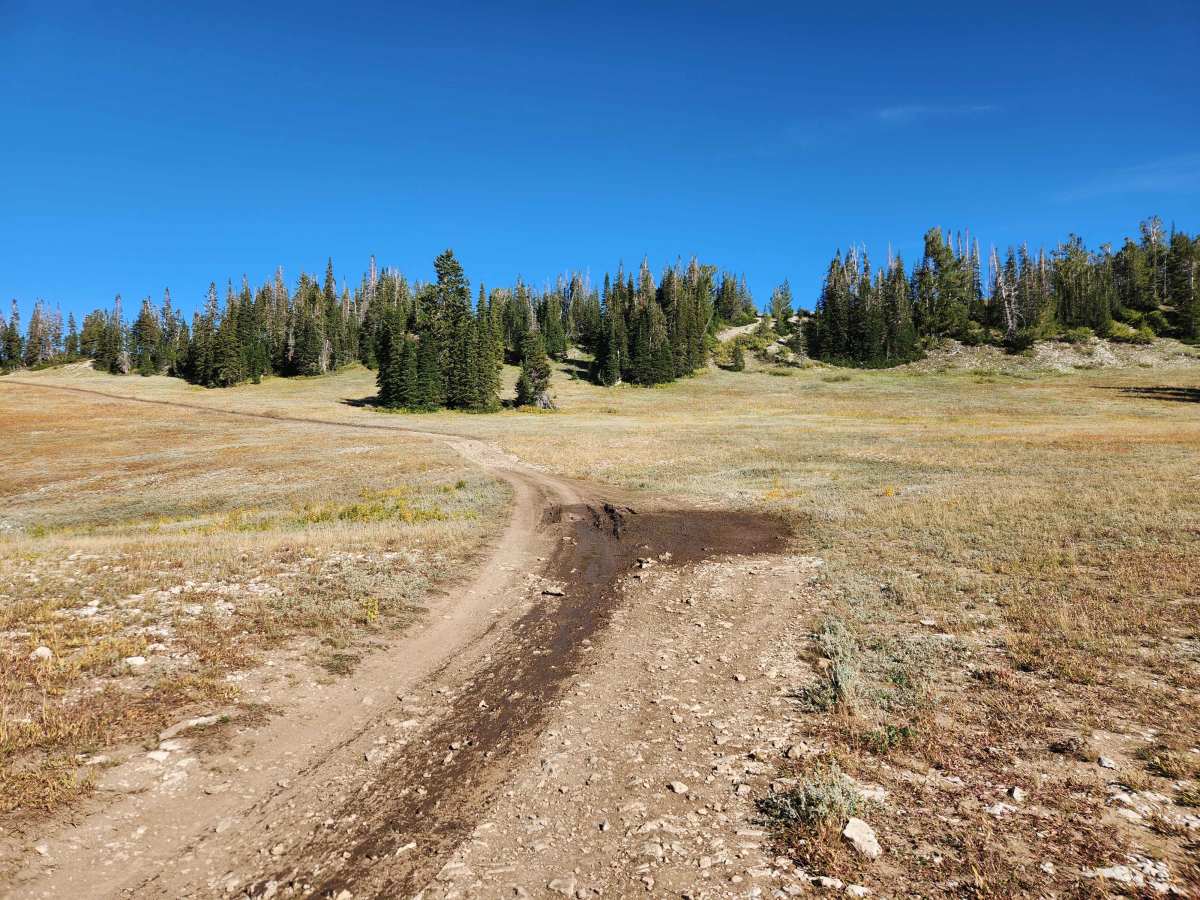 Becks Ridge - FS 52146 photo 4