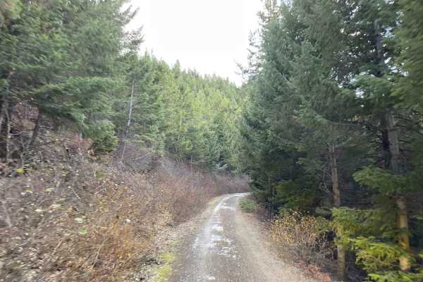 Woods Ridge Loop