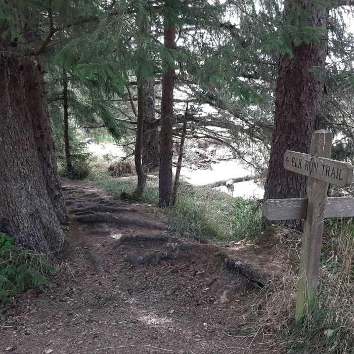Near Alder Creek Trail