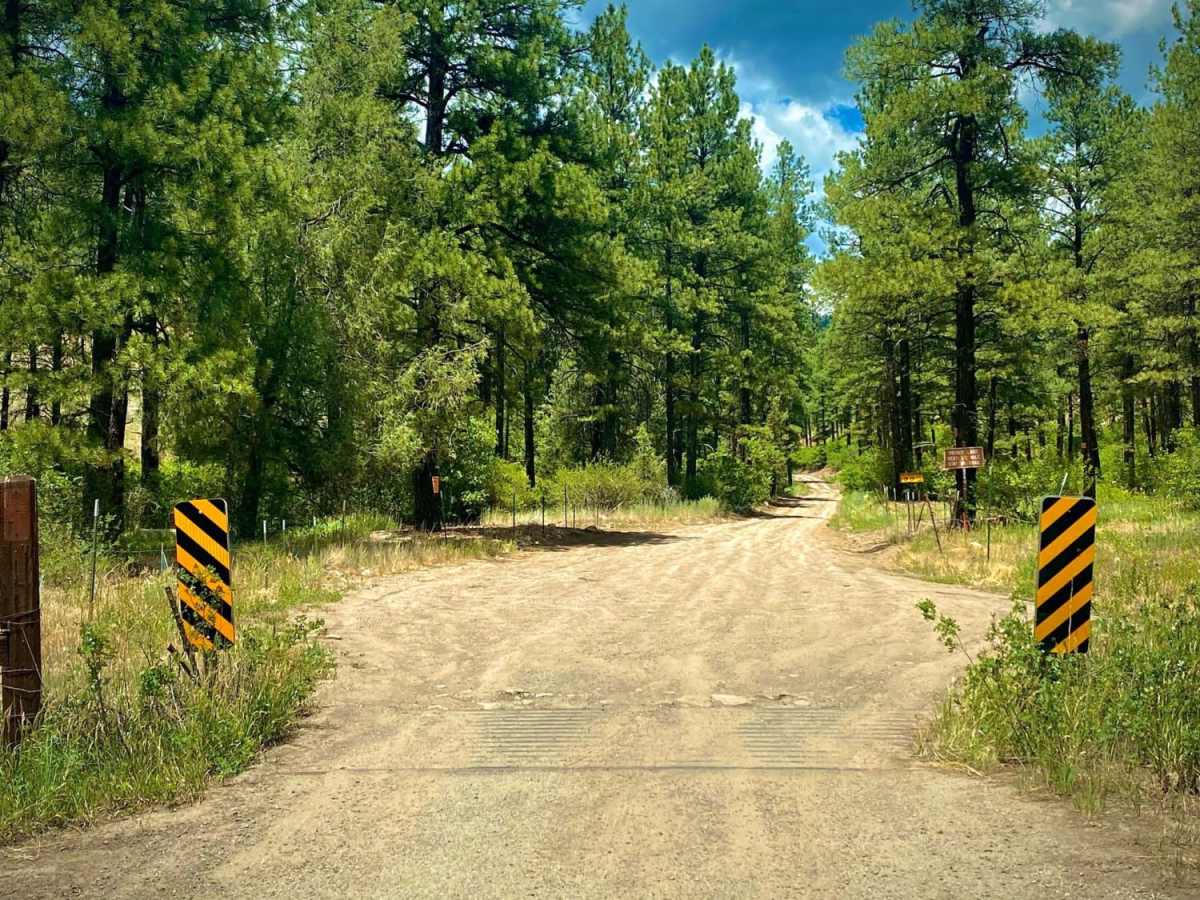 Devil Mountain-Fr Rd 626 photo 5