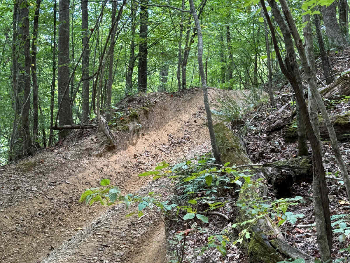 Valley Hill photo 5