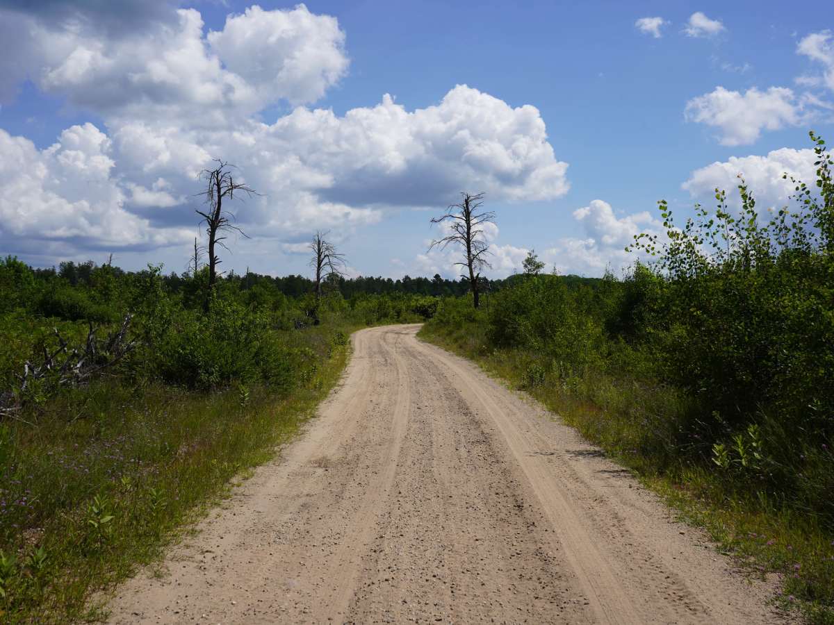 Shepards Trail photo 5