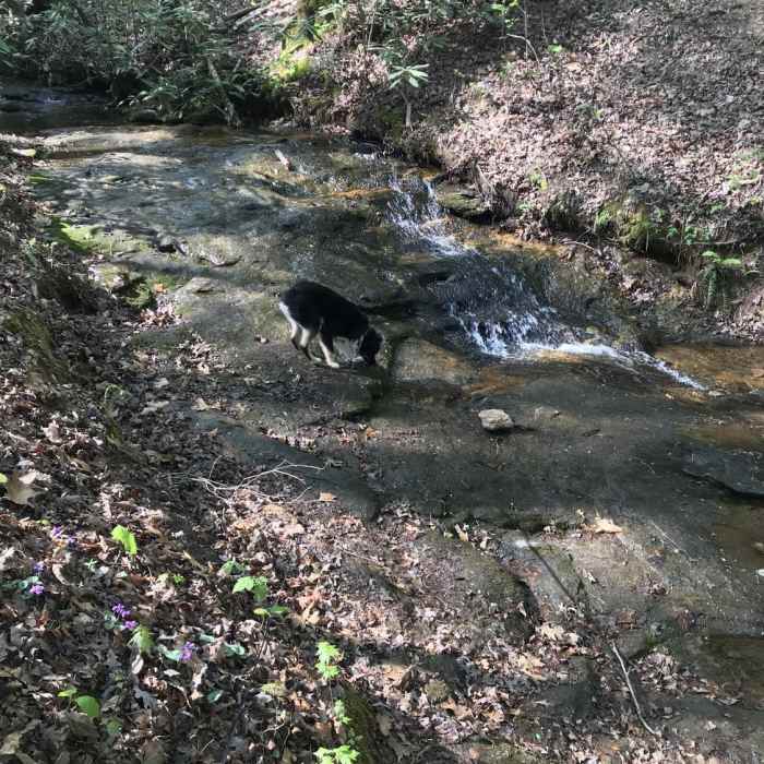 Near Baker's Mountain Park Loop
