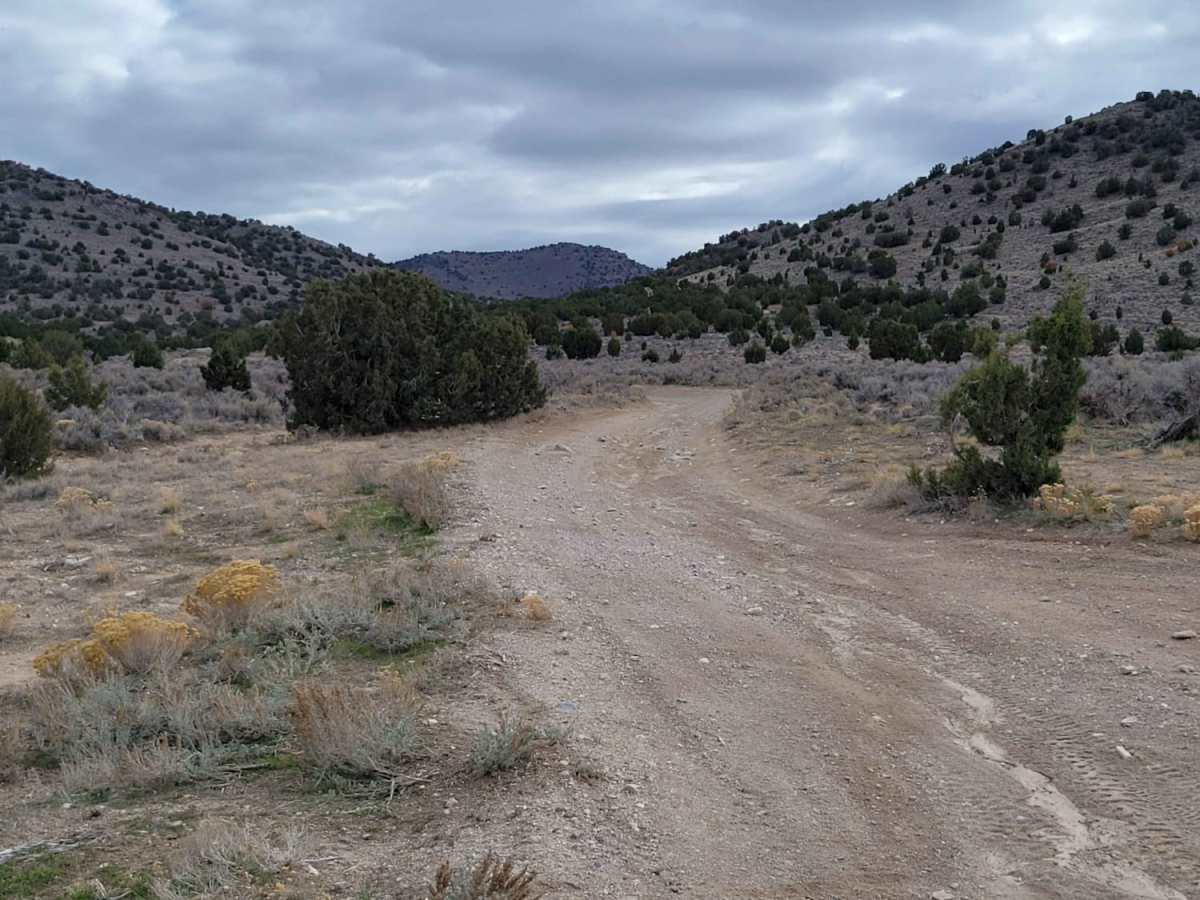 Horseshoe Way photo 5
