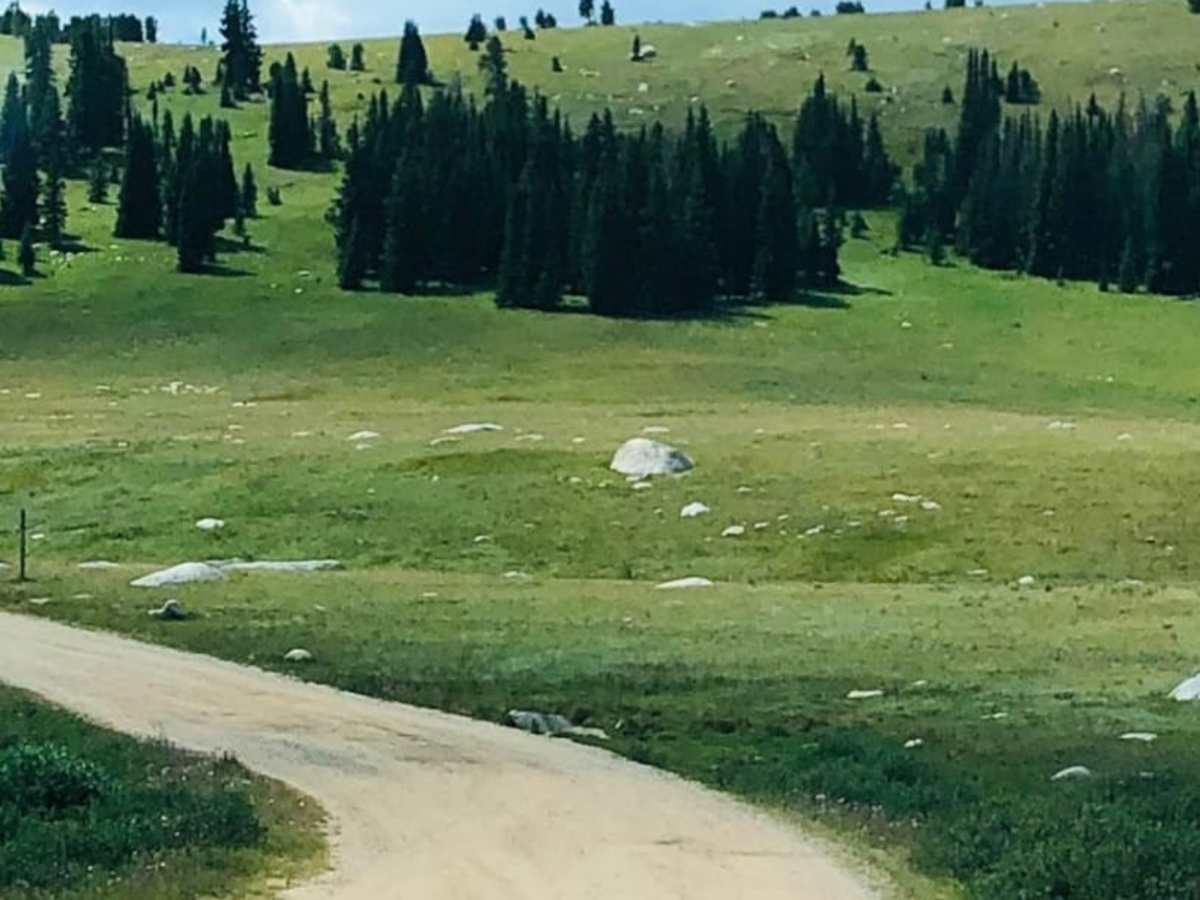 Fantan Loop to Sawtooth Lake trail photo