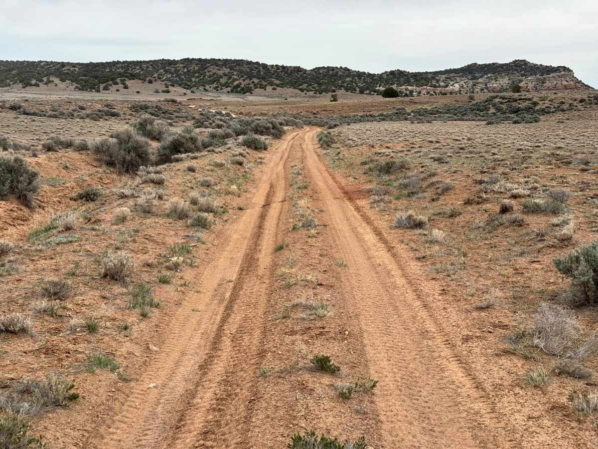 BLM 924 photo 2