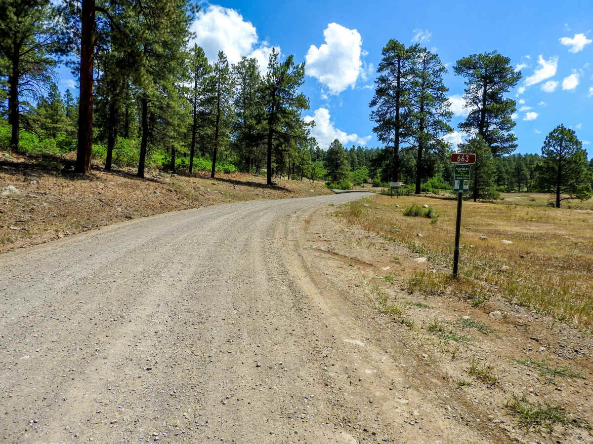 Navajo Peak Road - FS 731 trail photo