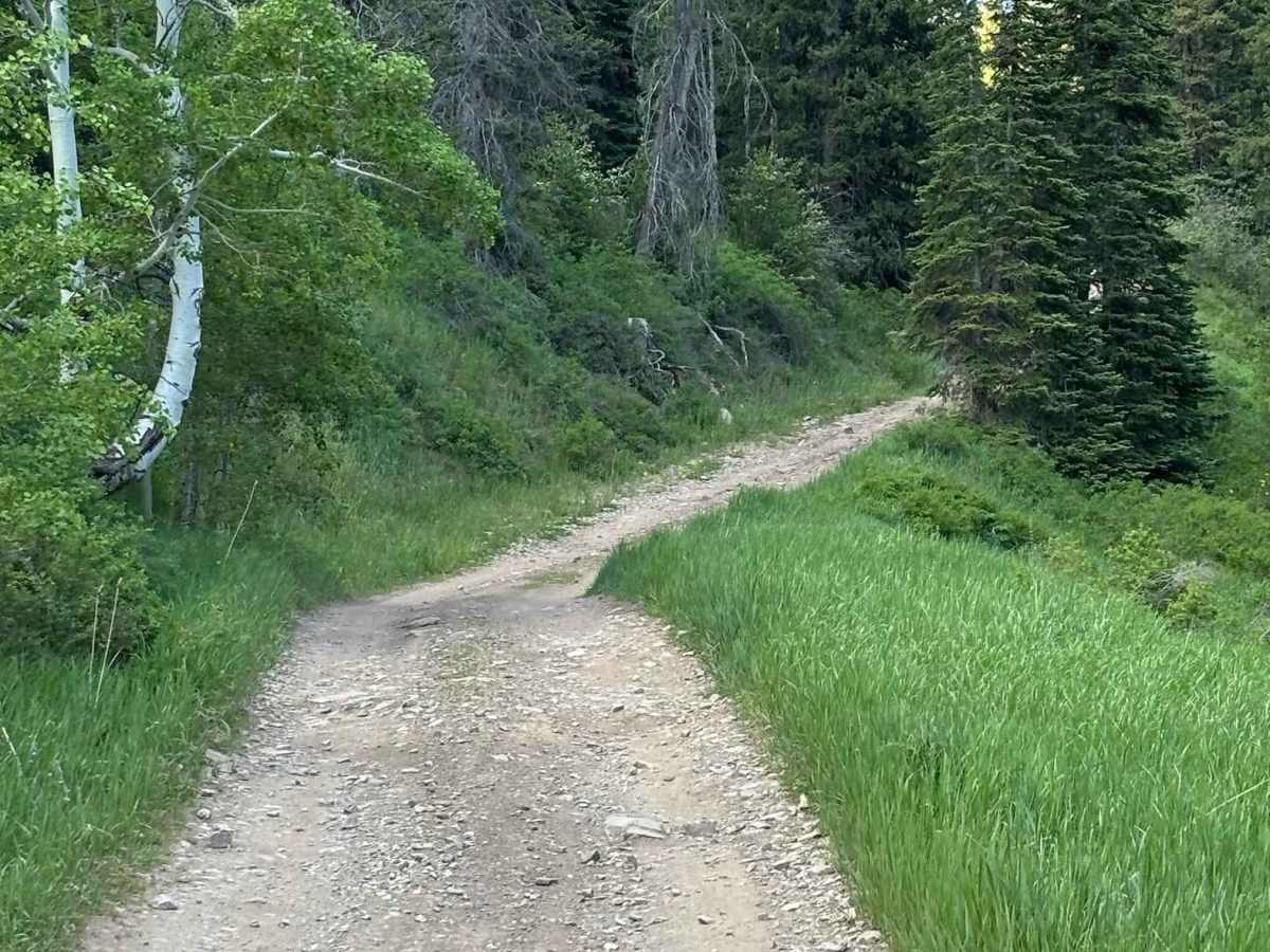 Little Box Road photo 4