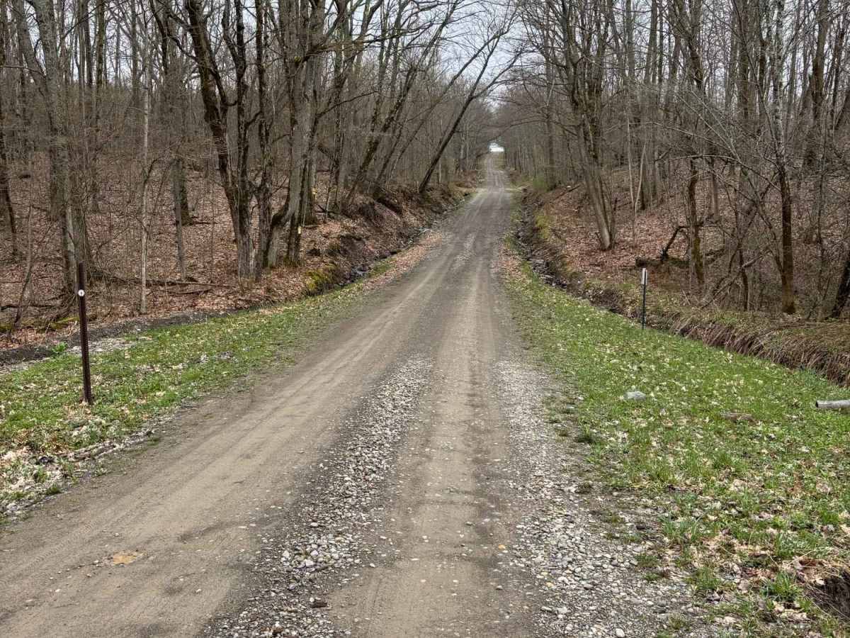 Fisher Road photo 6