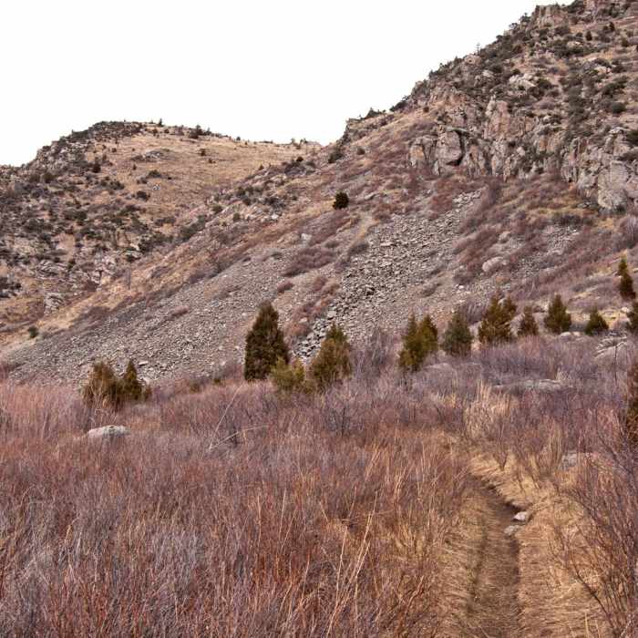 Near Bear Trap Canyon