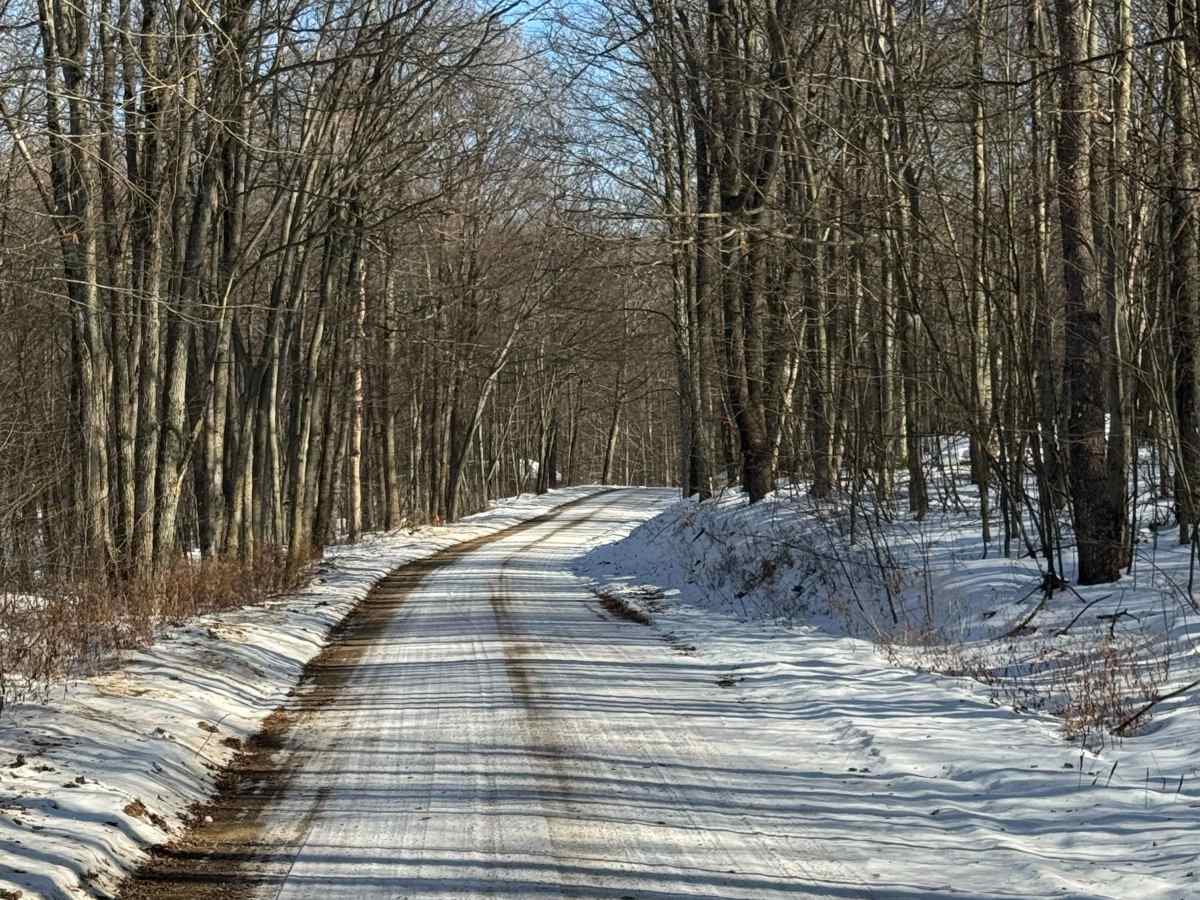 Dry Run Road photo 6