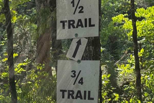 1/2 Trail
