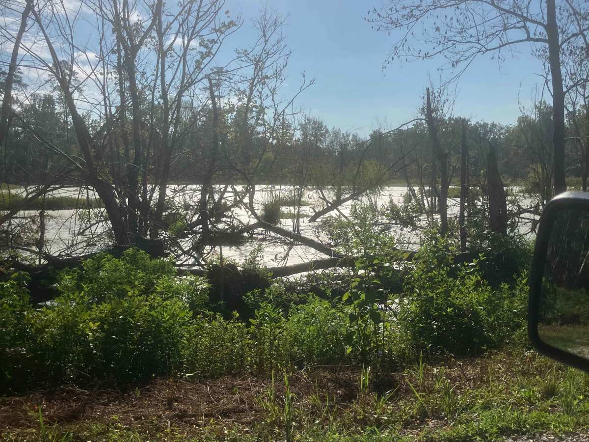 Fury's Ferry Boat Ramp photo 4