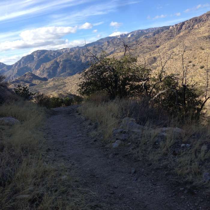 Near Sycamore Reservoir