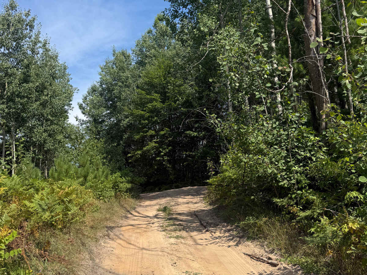 E 26-1/4 Trail photo 3