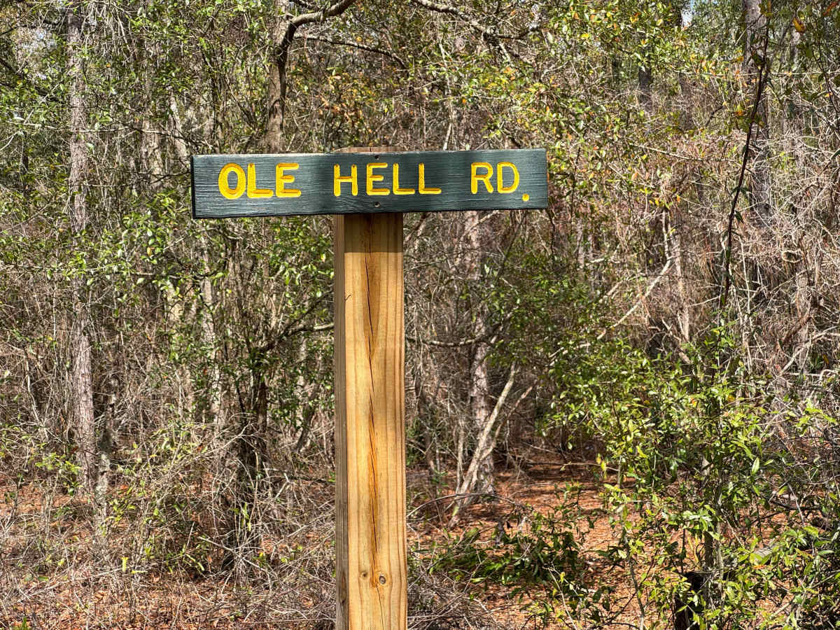 Ole Hell Road trail photo