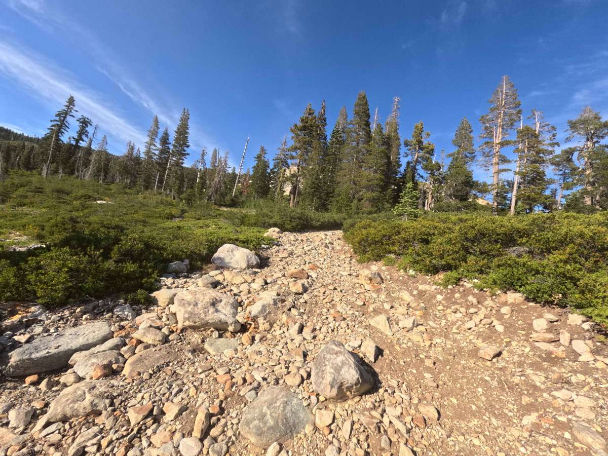 Snake Lake Trail - FS 12E67  photo 6