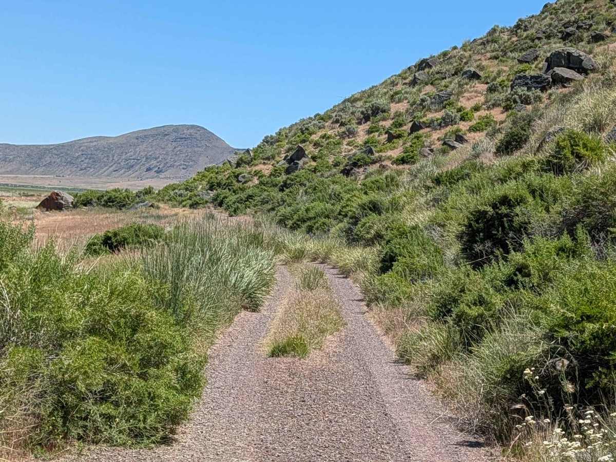 Lower Klamath Road photo 2