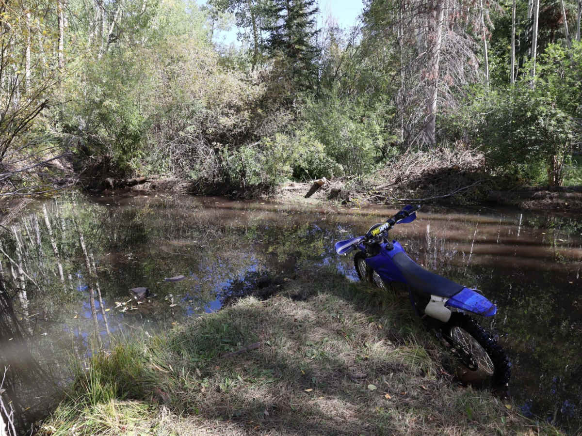 Bennett Creek 2 photo 2