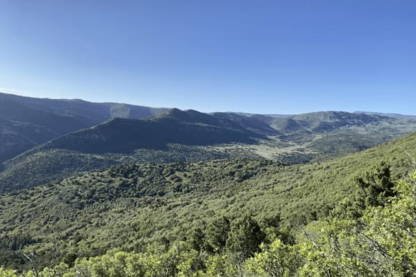 Browns Hole Trail