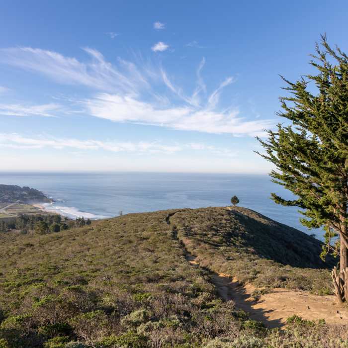 Near Old San Pedro Mountain Road