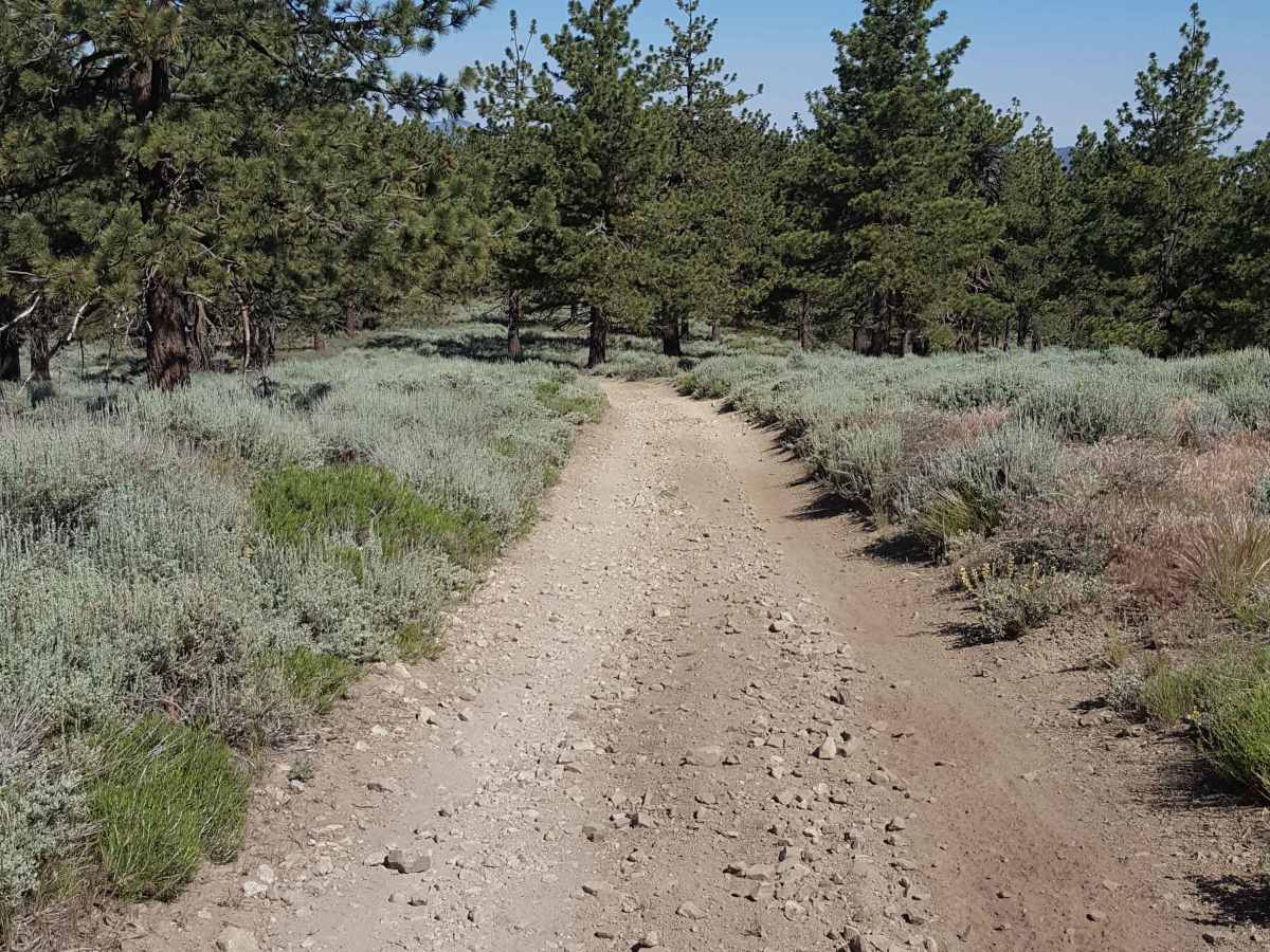 West Frazier Tie & Mine Road - FS 8N42 photo 3
