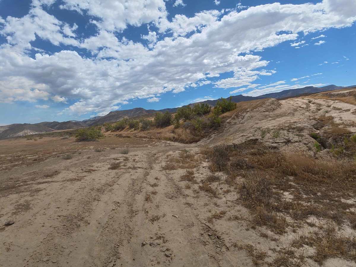 BLM 210 trail photo