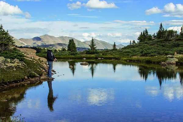 Taylor Pass
