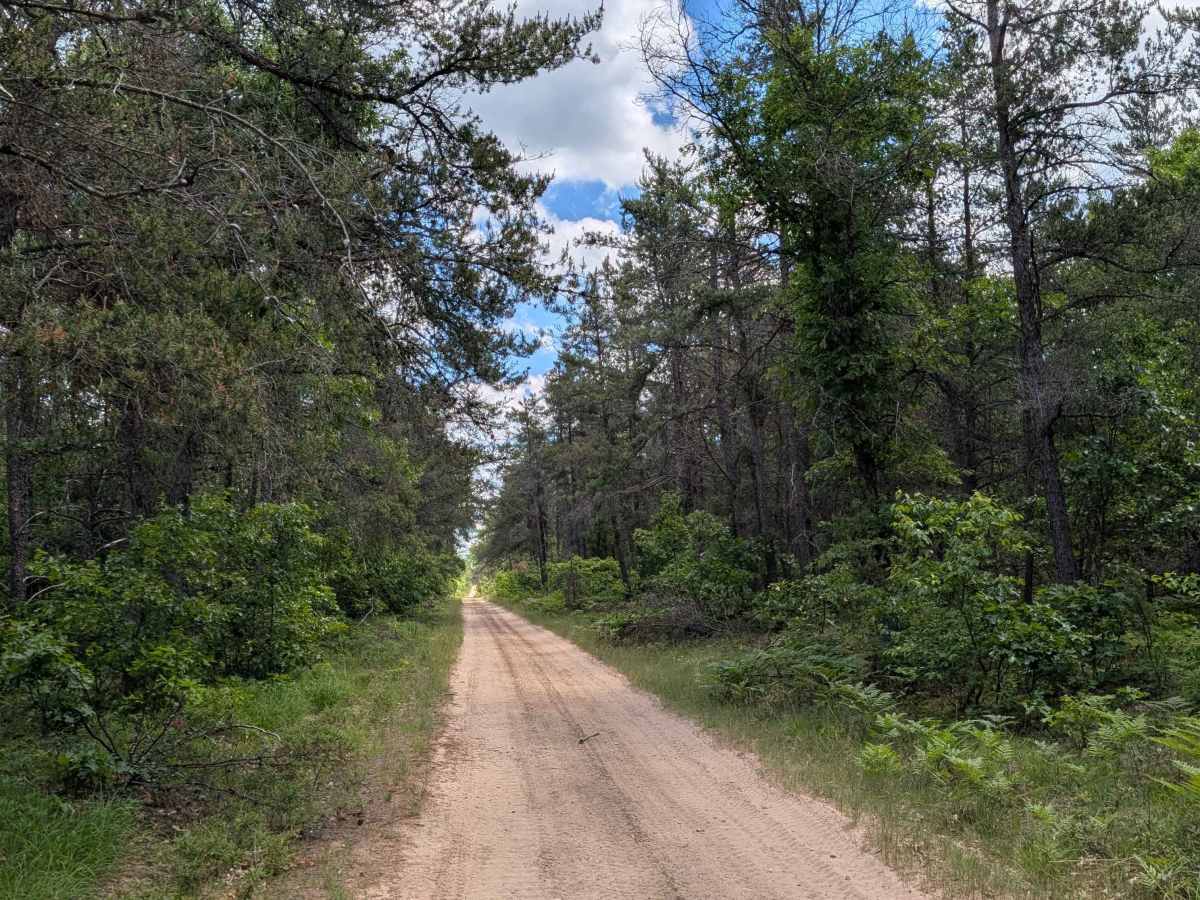 East Tower Road - FS 4169 photo 5